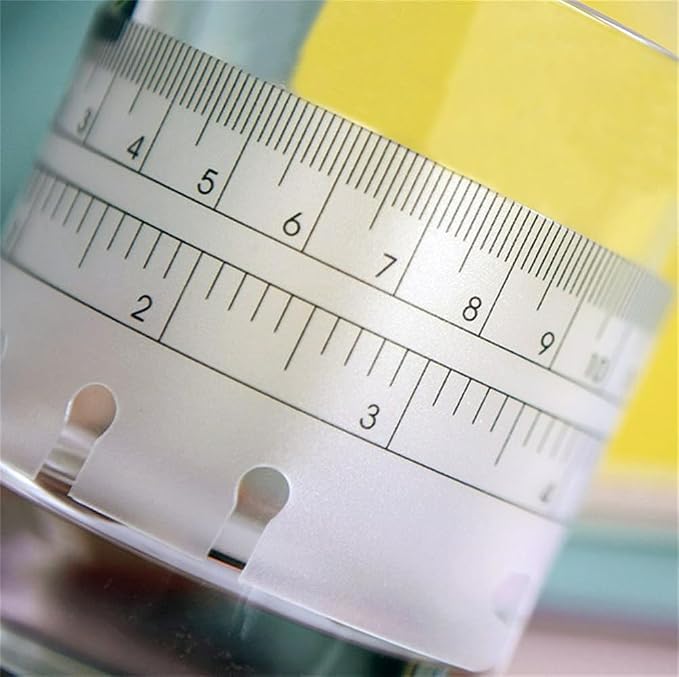 2Pcs Black/Clear Plastic Page Marker Pouch Measuring Today Ruler for A5 Size 6-Hole Binder Notebook (A5, Black + Clear)