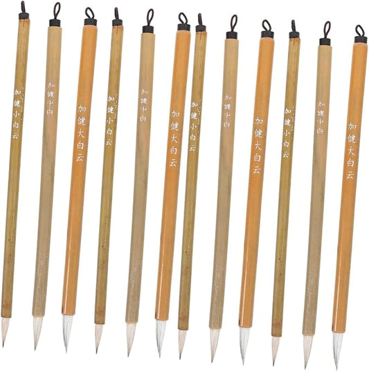 LALAFINA 12 Pcs Chinese Calligraphy Brush Set Sumi Brushes for Ink Traditional Calligraphy Brush Pen for Beginners Writing Drawing Painting 8.66 in