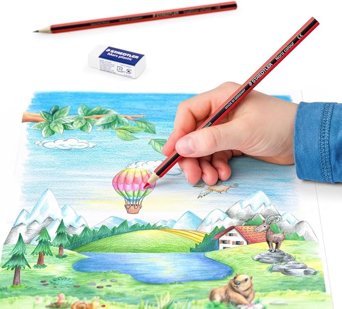 STAEDTLER Colored Art Pencils 12 Pack, 24 Pieces Per Set, 288 Total Count Break Resistant Hexagonal Coloring Pencils Set in Metal Tin, Prefered for Drawing, Adults, Kids Back to School