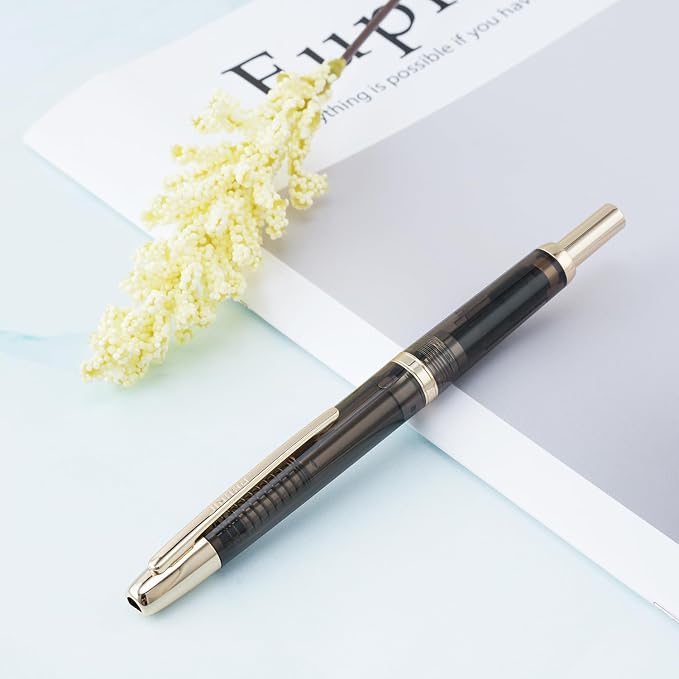 Jinhao 20 Retractable Fountain Pen Fine Nib with Converter Resin Writing Gift Pen, Transparent Black with Golden Clip