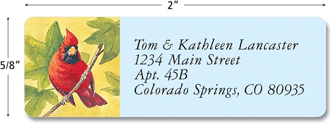Colorful Images Return Address Mailing Labels | Birds of America, 240 Count, Self-Adhesive on Flat-Sheet Labels, Customize with Name & Shipping Address