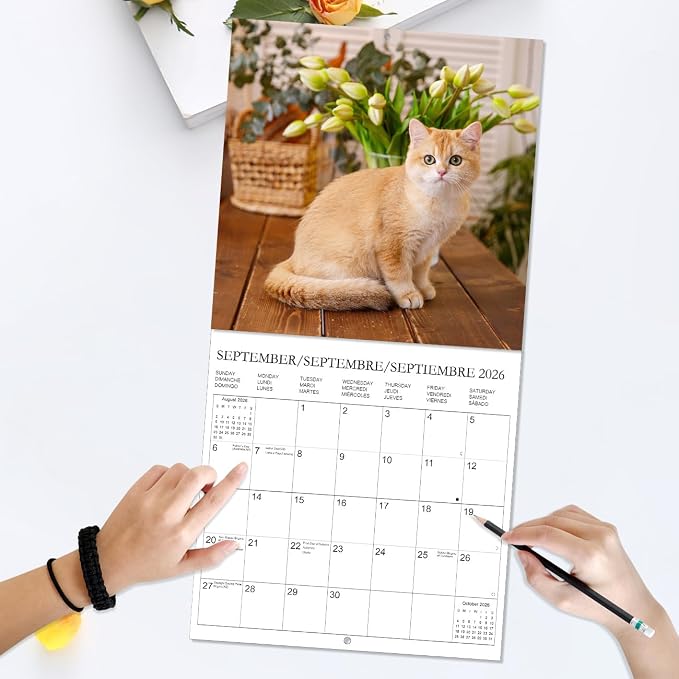 Calendar 2026 - Wall Calendar from January 2026 to December 2026, 3 Languages(English,French,Spanish), 2026 Calendar with Holiday Marked, Premium Paper for Organizing, 12" x 12",Cat