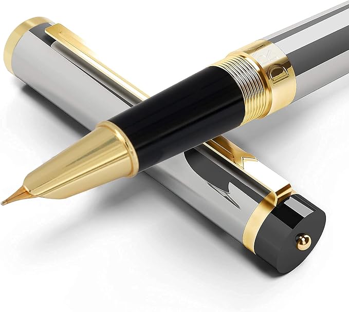 Dryden Designs Fountain Pen - Medium Nib and Fine Nib | Includes Luxury Box, 6 Ink Cartridges - 3 Black 3 Blue and Ink Refill Converter - Metallic Silver