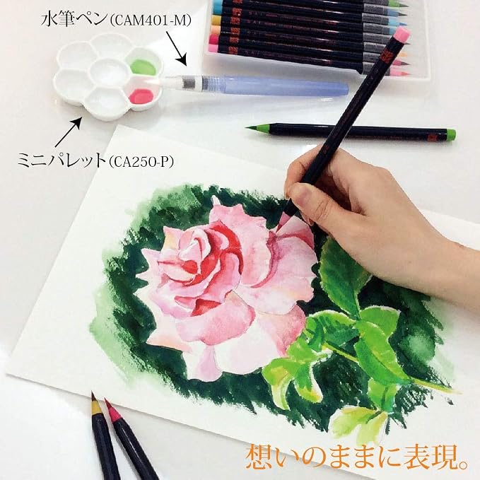 Akashiya Fude Brush Pen Sai, 5 Winter Color Set (CA200/5VD)