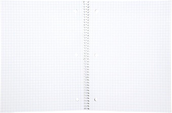 Mintra Office Spiral Notebooks, Wirebound, Journals for School, Work, Business, Aesthetic Stationery, Writing Pads, Teacher & Student Supplies (4, Solid Color, Graph)