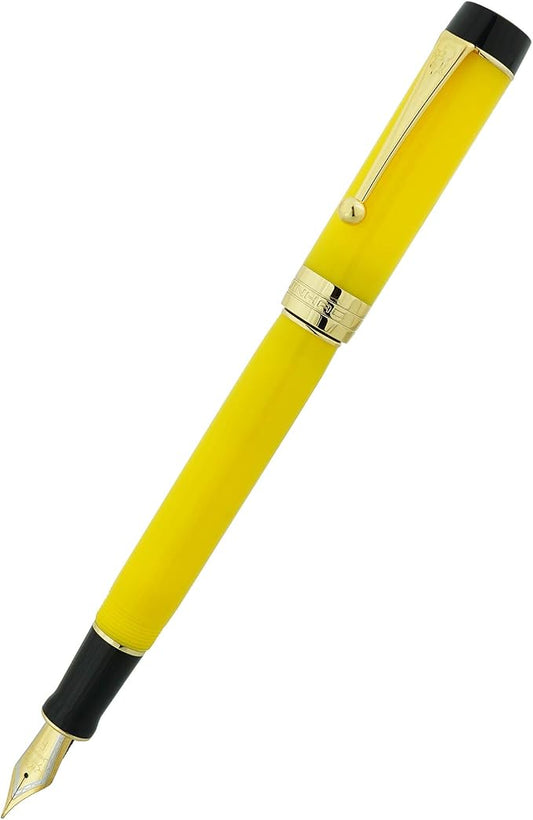 Jinhao 100 Fountain Pen Celluloid Classic Style, #6 Nib Smooth Writing Instrument with Refillable Converter and Pen Case Set
