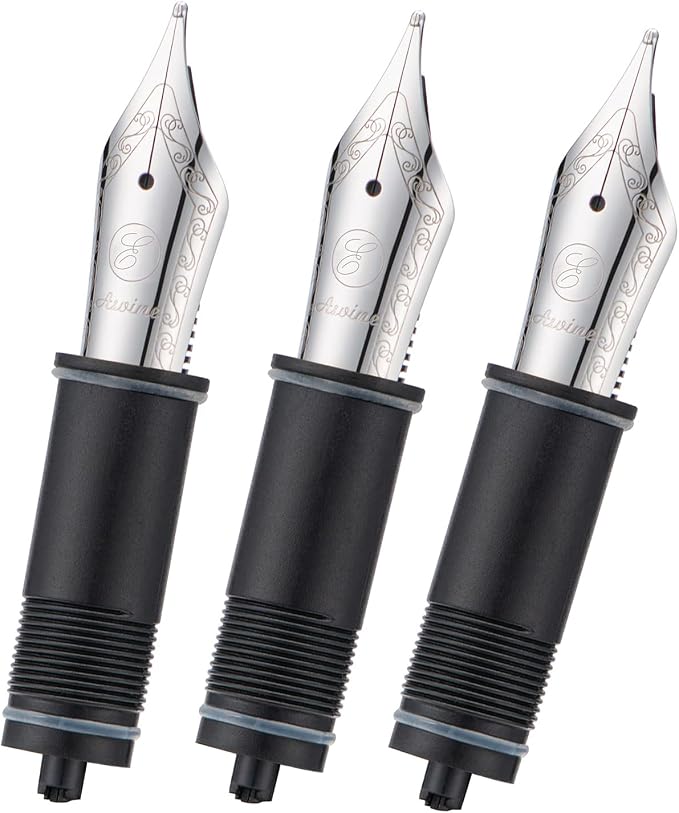 Asvine 3 PCS Fountain Pen Replaced Nibs, Silver #6 EF Nib V169, P20, P30 and V126