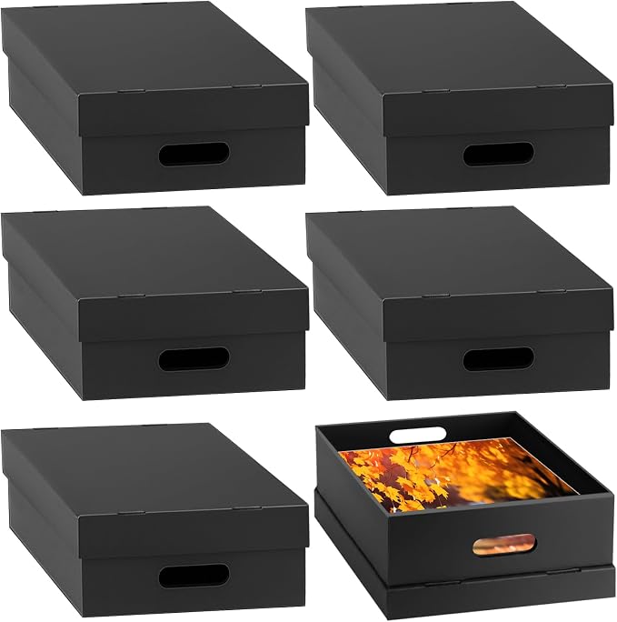 AOBOPLE 6 Pack Photo Storage Box,9" x 12" x 4" Archival Storage Box with Lids,Protective Storage Box for Photo,Pictures,9x12 Documents, Keepsakes and Jewelry Home and Office Organizer