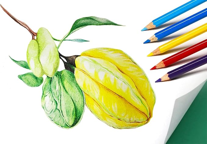SKKSTATIONERY 144Pcs Colored Pencils, Pre-sharpened, coloring pencils Bulk Back to School Supplies For Teachers 12 Colors, 12pcs/box, Total: 144Pcs.