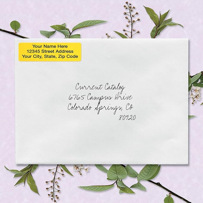 Colorful Images Pastel Multicolor Rolled Return Address Mailing Labels with Dispenser, Customize with Name & Shipping Address, 250 Self Adhesive, Easy Peel Sticker Label Roll, 3/4" x 2 1/2"