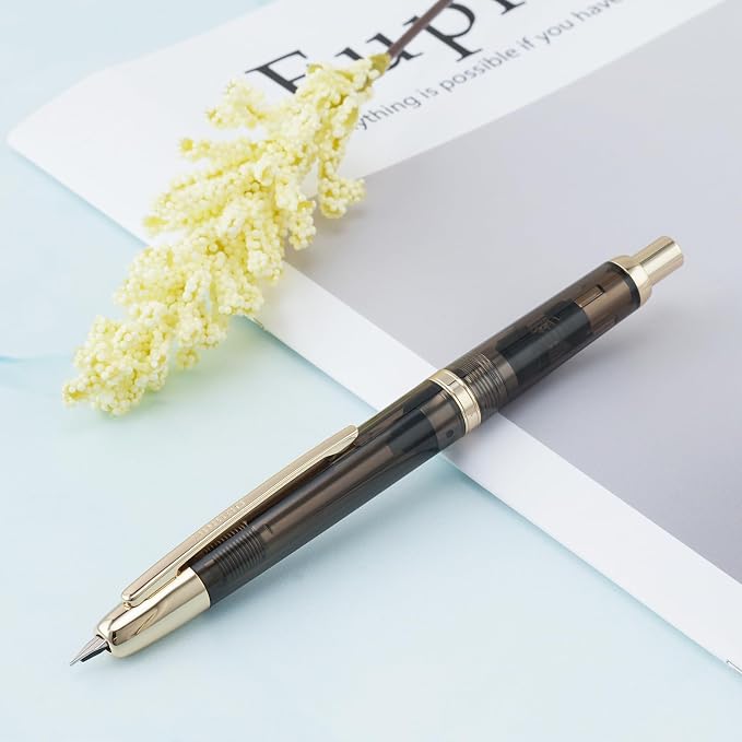 Jinhao 20 Retractable Fountain Pen Fine Nib with Converter Resin Writing Gift Pen, Transparent Black with Golden Clip
