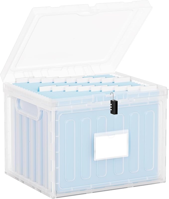 Oterri Lockable Plastic File Box with Lid for Letter-Size | Hanging File Folders Not Included. Clear, Large 1-Pack. Home, Office, Classroom, Dorm, Tax, Under Bed, Filing Cabinet.