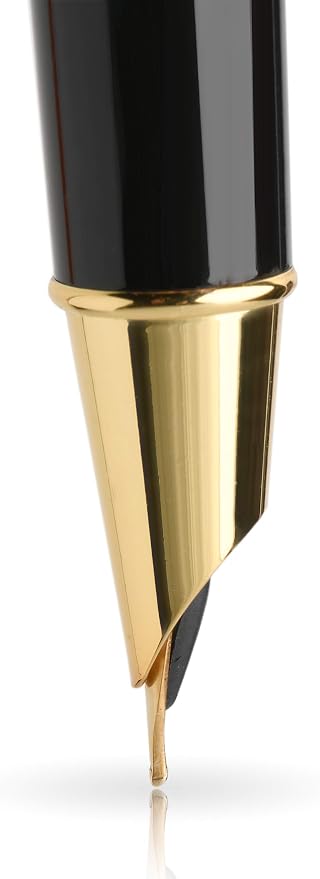 Dryden Designs Fountain Pen - Medium Nib and Fine Nib | Includes Luxury Box, 6 Ink Cartridges - 3 Black 3 Blue and Ink Refill Converter - Luscious Pink