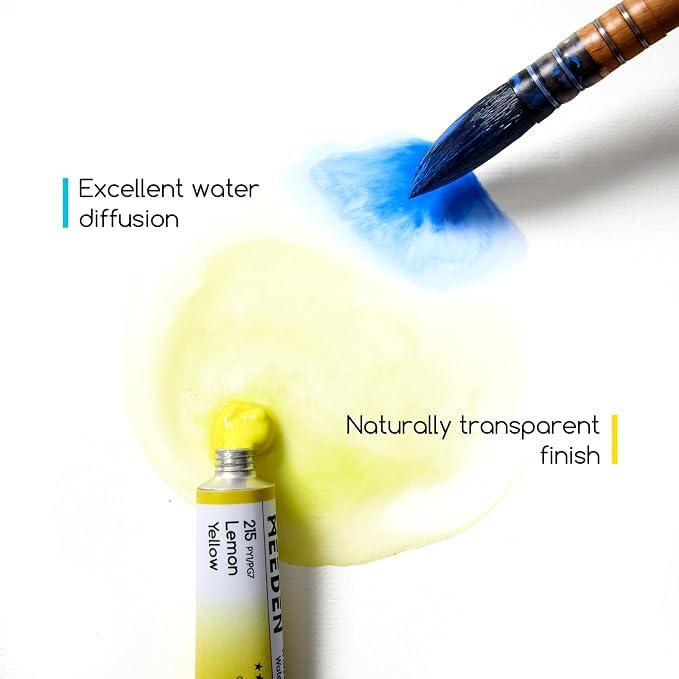 MEEDEN Professional Watercolor Paint Set: 20 x 15ml (0.5 oz) Colors Artist Water Color Tubes - Watercolor Supplies for Adults Artists Pros