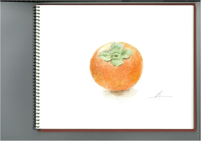 Maruman VifArt Watercolor Artbook- Premium Rough Watercolor Paper, Natural White, F3, 9.02" x 11.57", 15 Sheets/ 30 Pages, Reinforced Cover Sketchbook for Watercolor & Mixed Media, Red