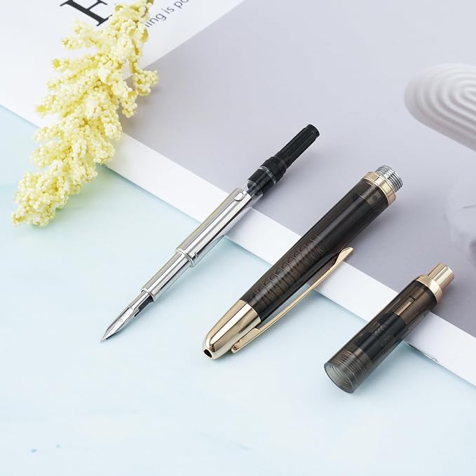 Jinhao 20 Retractable Fountain Pen Fine Nib with Converter Resin Writing Gift Pen, Transparent Black with Golden Clip