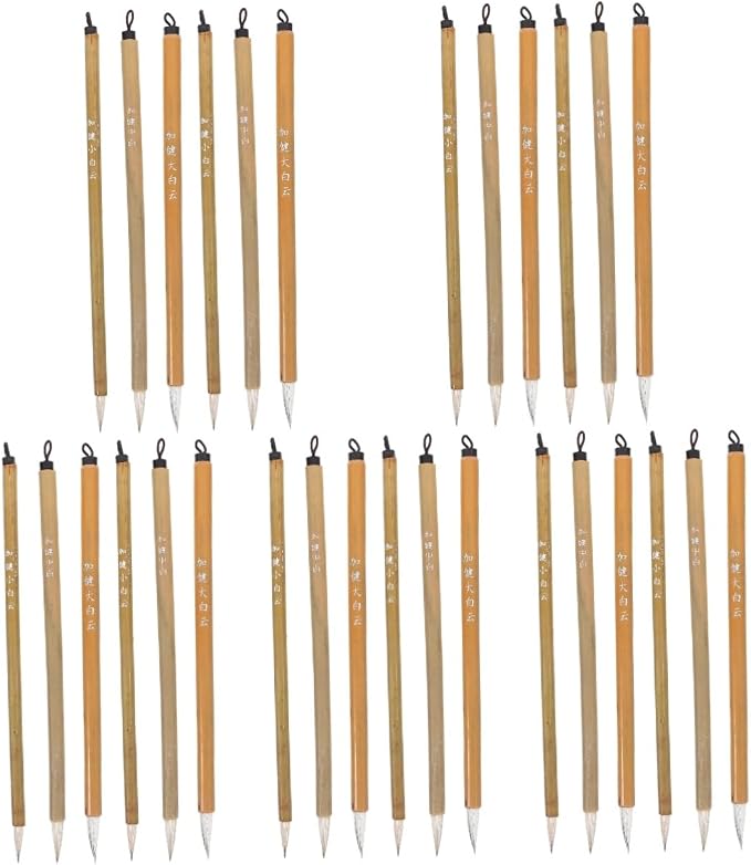 LALAFINA 30Pcs Chinese Calligraphy Pens for Beginners, Drawing Watercolor Calligraphy Brushes for Beginners Ink Brush, 8.66 Inch