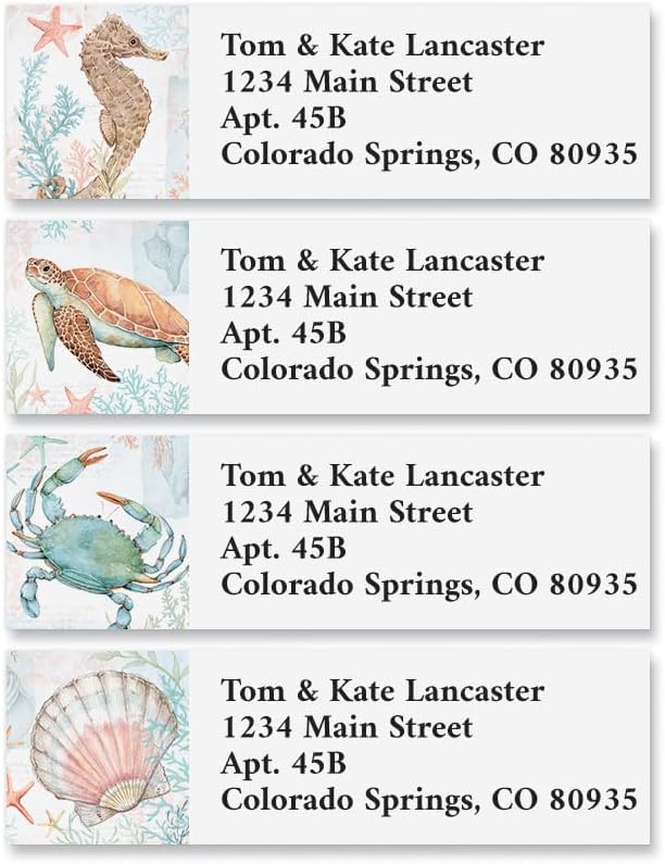 Colorful Images Beach Return Address Labels, 240 Count | Coastal Spray, 240 Count, Self-Adhesive on Flat-Sheet Labels, Customize with Name & Shipping Address