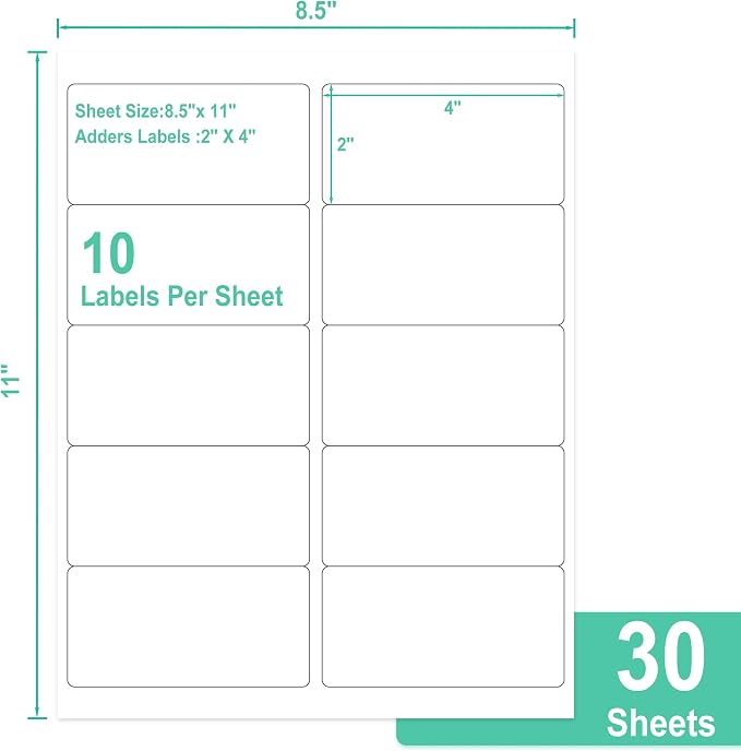 L LIKED 2" x 4" Label Stickers, Printable White 10 per Sheets Total 300 Labels, for Laser/Inkjet Printing - Matte (300 Labels)