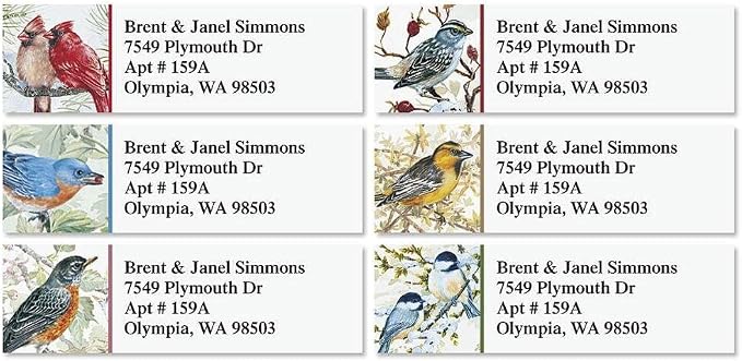 Colorful Images Return Address Labels, 240ct | Garden Friends Birds, 240 Count, Self-Adhesive on Flat-Sheet Labels, Customize with Name & Shipping Address, 6 Designs
