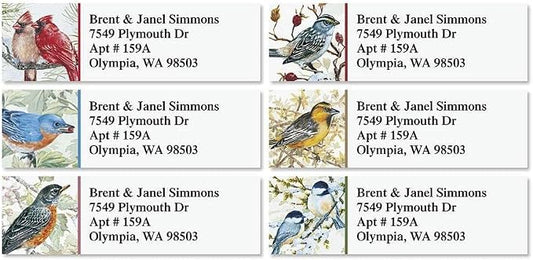 Colorful Images Return Address Labels, 240ct | Garden Friends Birds, 240 Count, Self-Adhesive on Flat-Sheet Labels, Customize with Name & Shipping Address, 6 Designs