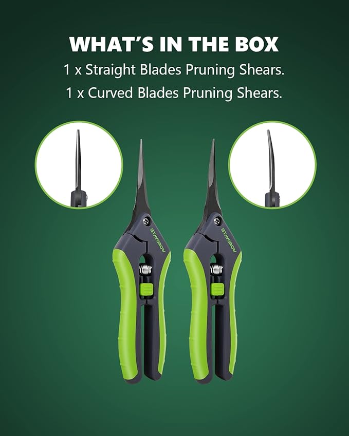 2pcs 6.5" Pruning Shears for Gardening Ultra Sharp Garden Scissors | Plant Snips for Precise Cuts, Stainless Steel Bonsai Clippers with Spring Loaded, Garden Shears (1pc Straight & 1pc Curved)