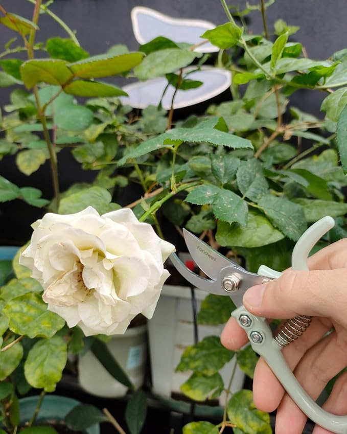 Fondwell 6" Small Bypass Pruners Garden Shears Plant Clippers for Gardening | 1-Pack Lightweight Pruning Shears, Rust Resistant, Comfortable Use - Best for Delicate Cutting Fresh Flower Stems Herbs Buds