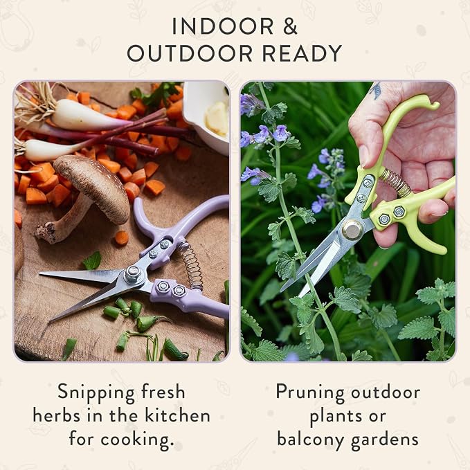 Modern Sprout Pruning Shears- Garden Snips - Herb Scissors- Lavender 1-Pack | Lightweight Gardening Tool - Durable Carbon Steel Blade W/Easy-Lock - Gardening Supplies - Flower Cutter - Reusable Holster