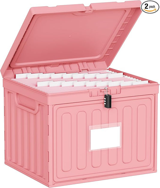 Oterri Lockable Plastic File Box with Lid for Letter-Size | Hanging File Folders Not Included. Pink, Large 1-Pack. Home, Office, Classroom, Dorm, Tax, Under Bed, Filing Cabinet.