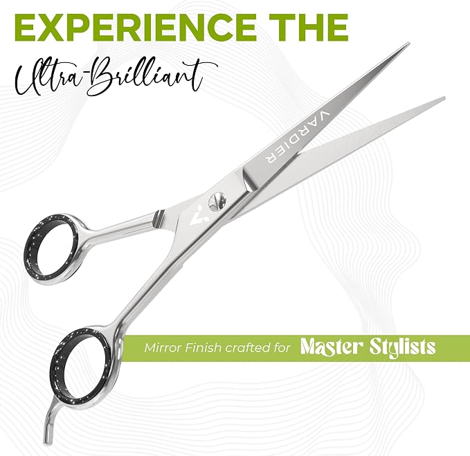 6.5” Hair Cutting Scissors – Professional Stainless Steel Barber Shears with Micro-Serrated Blades, No-Slip Precision Cut – Gift-Boxed with Leather Pouch for Salon & Home (Matter Silver)