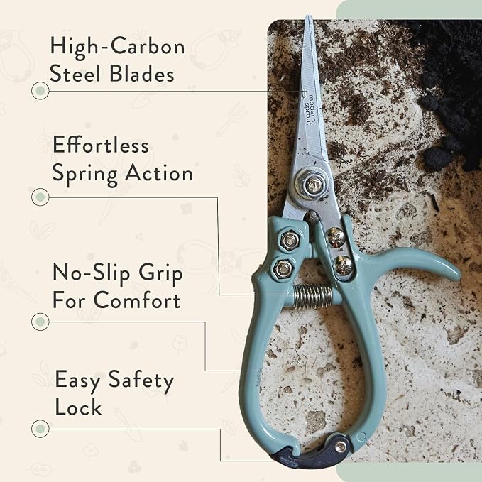 Modern Sprout Pruning Shears - Garden Snips - Herb Scissors - Sage 1-Pack | Lightweight Gardening Tool - Durable Carbon Steel Blade W/Easy-Lock - Gardening Supplies - Flower Cutter - Reusable Holster