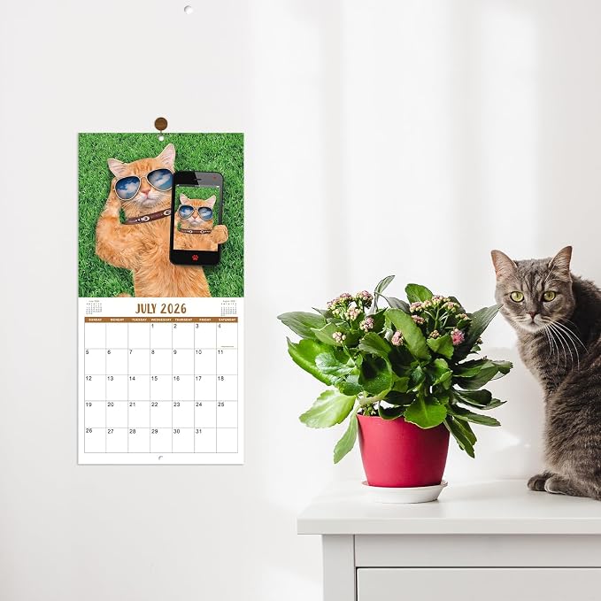Calendar 2026-2027 - Wall Calendar 2026-2027, JUL 2026 - DEC 2027, Funny Cats Calendar 26-27, Wall Calendar 18 Month, Funny Cat Memes Pics, 12'' x 24'' (Open), Unruled Block, Hanging Hole, Holidays
