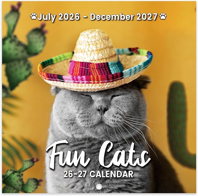 Calendar 2026-2027 - Wall Calendar 2026-2027, JUL 2026 - DEC 2027, Funny Cats Calendar 26-27, Wall Calendar 18 Month, Funny Cat Memes Pics, 12'' x 24'' (Open), Unruled Block, Hanging Hole, Holidays