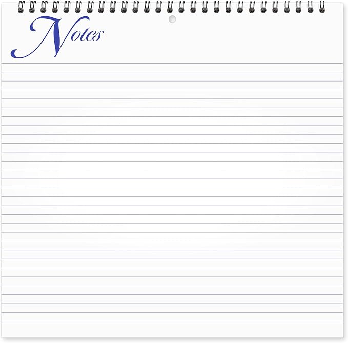 AT-A-GLANCE 2027 Wall Calendar, Monthly, 12" x 12" Planner, Unruled Daily Blocks, Illustrator's Edition (G10001727)