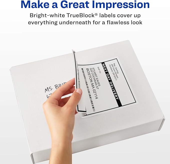 Avery Printable Shipping Labels, Sure Feed Technology, 3-1/3" x 4", White, Laser/Inkjet Printable, 60 Blank Mailing Labels (15264) (Pack of 2)