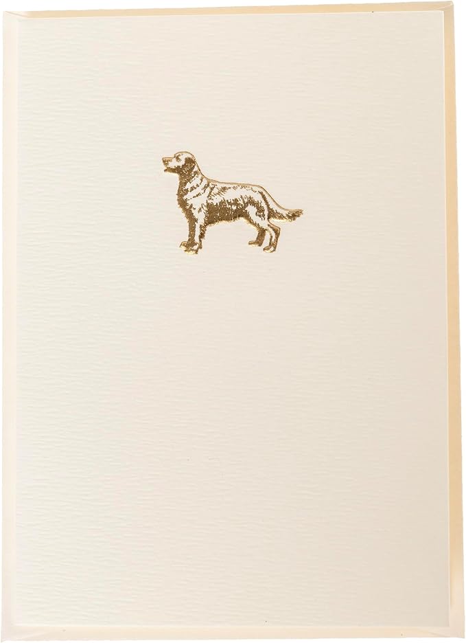 Graphique La Petite Presse Golden Retriever Boxed Notes | Blank Note Cards with Envelopes | 10 Count All Occasion Greeting Card Set | 3.25 x 4.75 Inches | High Quality Thick Paper Stationery with Unique Design