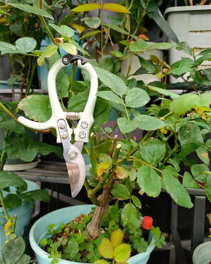 Fondwell 6" Small Bypass Pruners Garden Shears Plant Clippers for Gardening | 1-Pack Lightweight Pruning Shears, Rust Resistant, Comfortable Use - Best for Delicate Cutting Fresh Flower Stems Herbs Buds