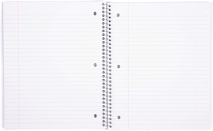 Mintra Office Durable Spiral Notebooks, 1 Subject, (Green, Wide Ruled 12pk), 100 Sheets, Poly Pocket, Moisture Resistant Cover, School, Office, Business, Professional