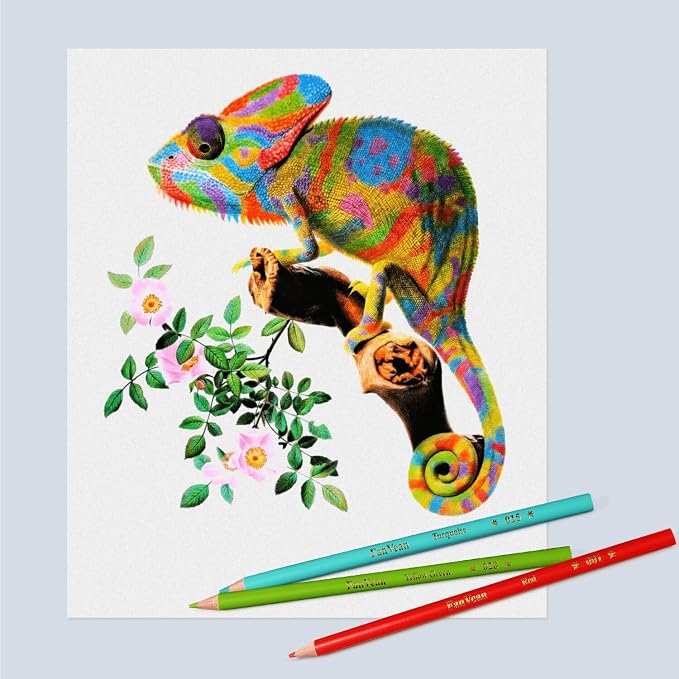 Colored Pencils for Adult Coloring Books: Color Pencil set Art Supplies Gift for Adults & Kids 72 Count