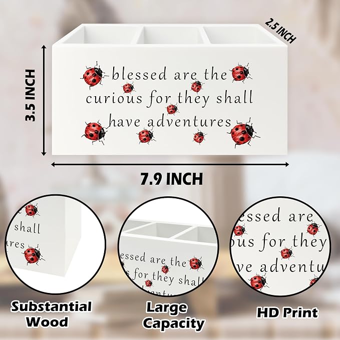 Inspirational Ladybug Pen Pencil Holder Organizer for Desk, Motivational Wooden Box Signs Decorations for Home Office Desk Tabletop, Inspirational Gifts for Women Men