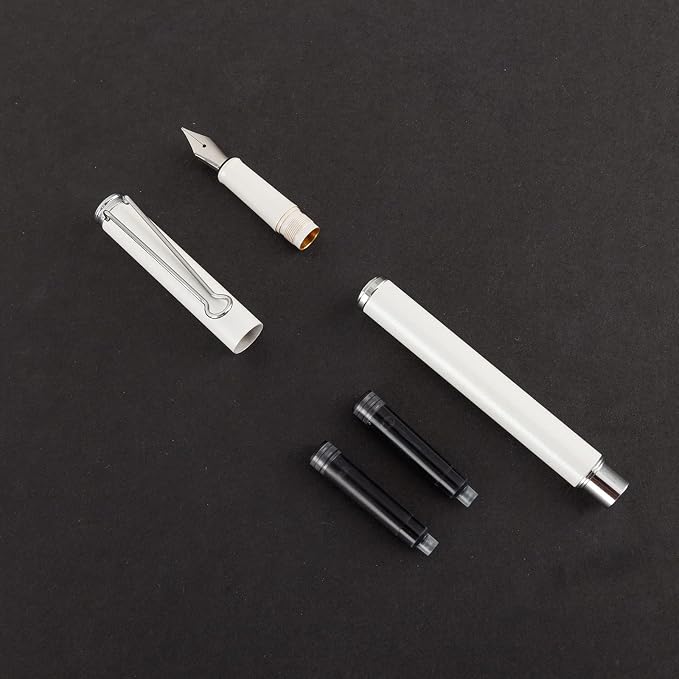 AIHAO Refillable Fountain Pen, Fine Point, Black Ink, 2 Ink Cartridges in one Set, Pear White, Metal Pen