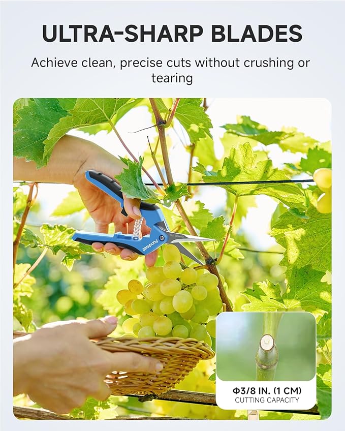 Fondwell 6.5" Small Pruning Shears Garden Snips Precision Trimming Scissors | 2-Pack Plant Scissors, Ultra-Sharp Micro-Tip Straight & Curved Blades, Fatigue-Free - for Flower, Bonsai, Detailed Gardening