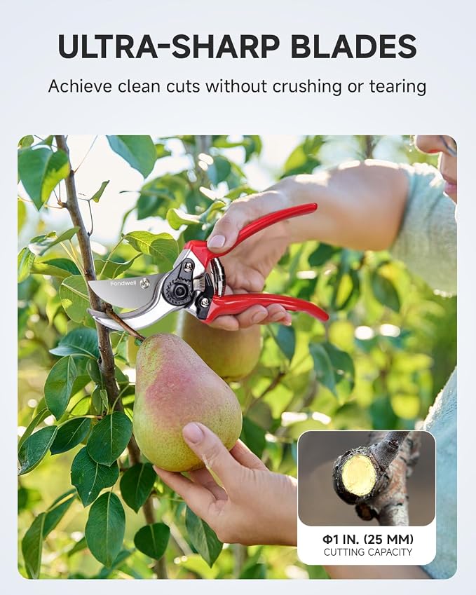 Fondwell 8.5" Professional Hand Pruners Bypass Pruning Shears for Gardening | Heavy Duty Garden Clippers, Cuts 1-Inch Branches, Comfortable Use - Trusted by Professional Landscapers and Nursery Workers