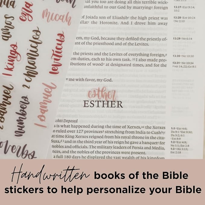 Esther Bible Journaling Kit, Loaded Bible journaling Supplies, Highlighters, Pens, Vellum Bible Tabs, Sticky Notes, Sticker Sheets, Fineliner, Paperclips & Bible Study Guide