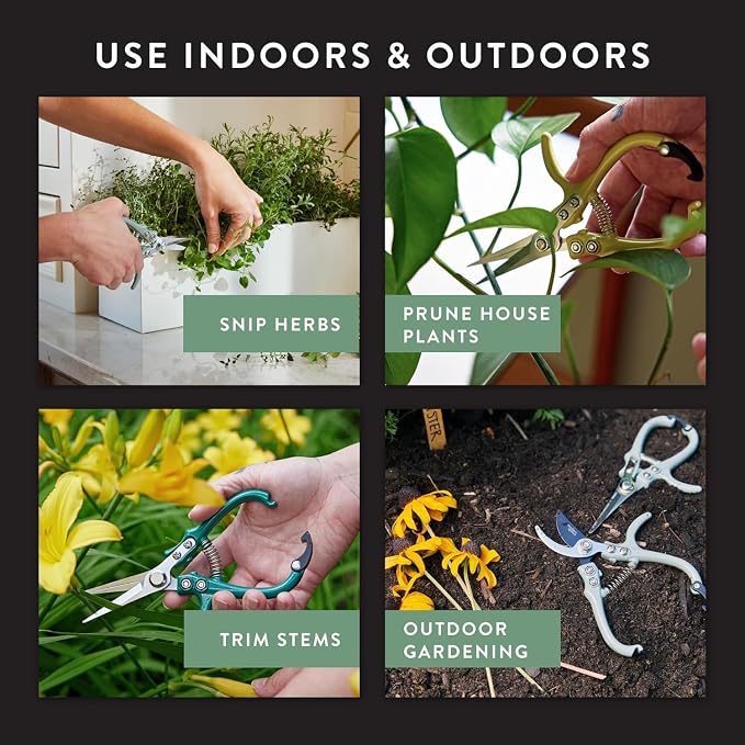 Modern Sprout Pruning Shears - Garden Snips - Herb Scissors - Multi 12-Pack | Lightweight Gardening Tool - Durable Carbon Steel Blade W/Easy-Lock - Gardening Supplies - Flower Cutter - Reusable Holster