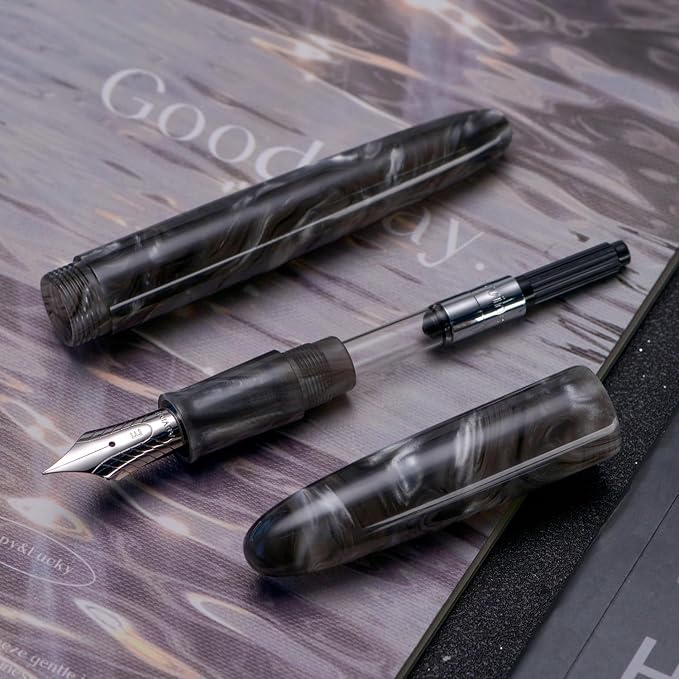 Asvine C80 Fountain Pen #8 Fine Nib Large Handcraft Pen with Converter Pen Case Collection Set (Gray Ripple)