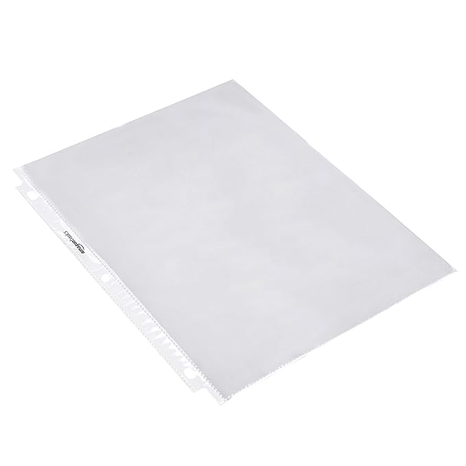 Amazon Basics Sheet Protectors for 3 Ring Binder, Lightweight, Acid-Free, Clear Plastic Sleeves, Letter Size, 8.5 x 11 Inch, 100-Pack