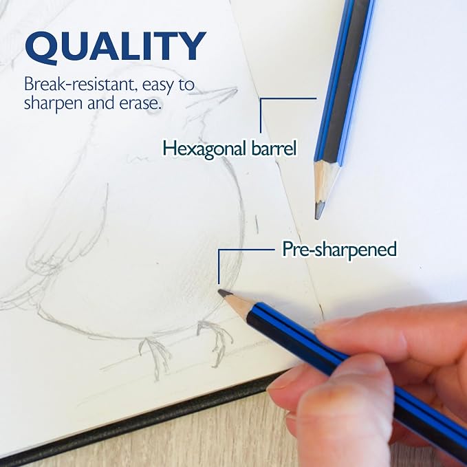 BAZIC PRODUCTS #2B Premium Wood Pencils, 12 Count, for Drawing | Softer #2B graphite for dark, bold lines, Wood barrel, fine point, shading, sketching, writing