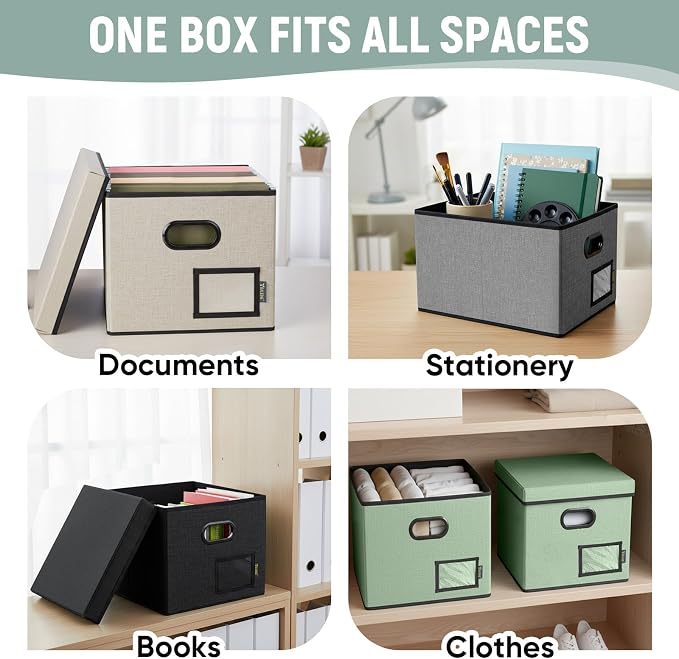 BALEINE File Organizer Box with Lid, Collapsible File Folder Organizer with Plastic Slide, Filing Box for Office Home Document Organizer Storage (Black, 1PK)