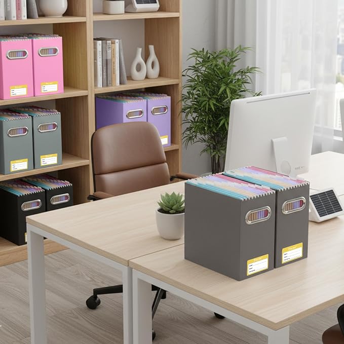 BALEINE File Organizer Box, Cardboard File Folder Organizer with Handle for Letter Size, Portable Collapsible Hanging Filing Box for Home Office Document Storage (2 Pack, Brown)